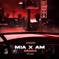 Mia X Am (Mashup) [Remix] - Single - Eme Sarav