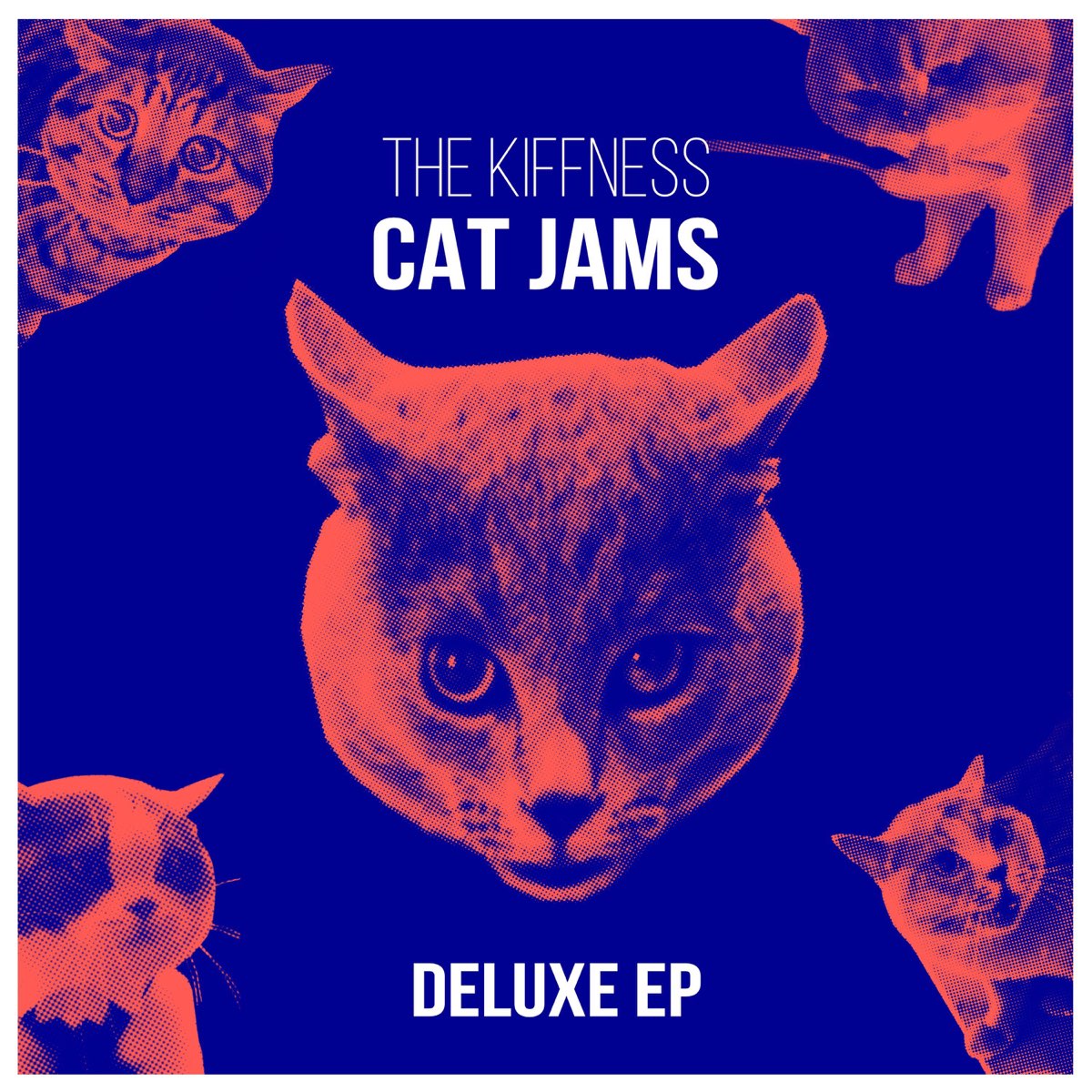 The kiffness i need something. The Kiffness Cat Jams. The Kiffness alugalug Cat обложка. Cat Jams Intro the Kiffness. Cat Jams Intro.