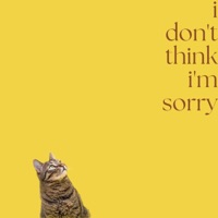 I Dont Think im Sorry - Single - Pratham Wavhal