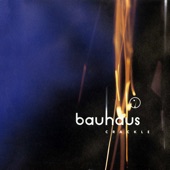 Bauhaus - The Passion of Lovers