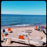 Stay a While - Single - Bark Point.