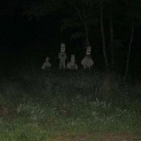 Instrusive Thoughts - Single - spookybands