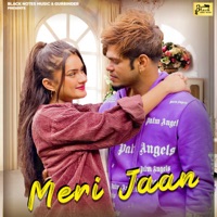 Meri Jaan - Single - Sucha Yaar & Akash Jandu