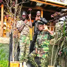 Listen to mbogi genje, watch music videos, read bio, see tour dates & more!