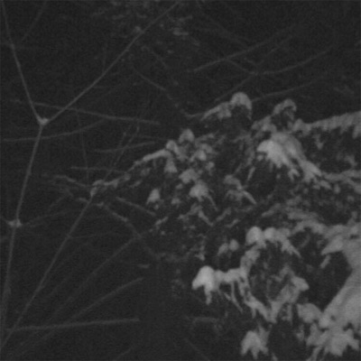 Toivo musta (feat. OD Kokemus) - Single