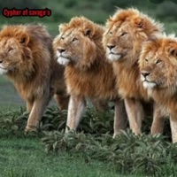 Cypher of Savages (from Slikadaice) (feat. Thyla & Jabez Z) - Single - DJ Jeremyray