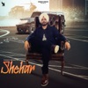 Shehar - Single (feat. DJ Vini) - Single