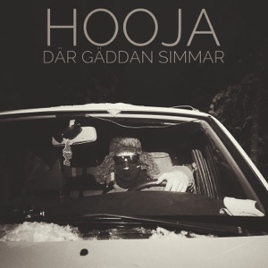 DÄR GÄDDAN SIMMAR Album Art