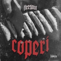 Coperi - Single - FleeSaul