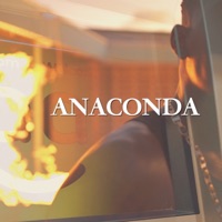 Anaconda - Single - Dindi Spray