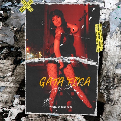 Gata Fina - Single