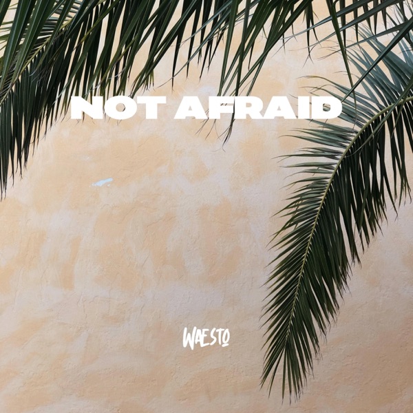 Not Afraid