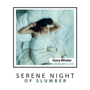Serene Night of Slumber