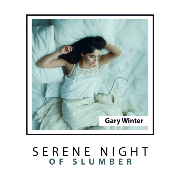 Serene Night of Slumber