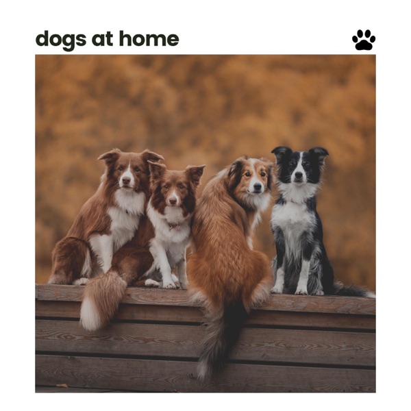 Dogs At Home