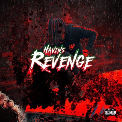 Havins Revenge