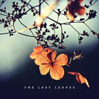 The Last Leaves - Single - CosmoForrest