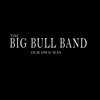 The Big Bull Band