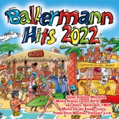 Ballermann Hits - Intro 1 (Ab in den Flieger) artwork