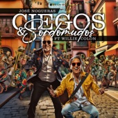 Ciegos y Sordomudos (feat. Willie Colón) artwork