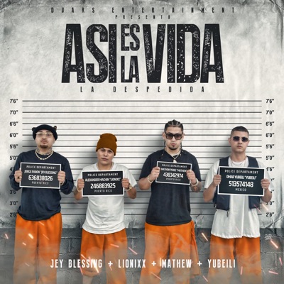 Así Es La Vida (La Despedida) [feat. Jey Blessing] - Single
