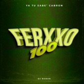 Ferxxo 100 (Turreo) [Remix] artwork