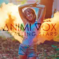 Falling Stars — Animi Vox
