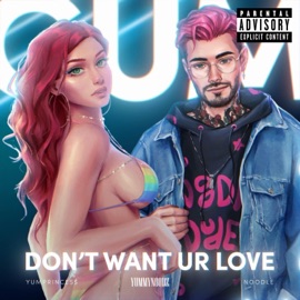 DON'T WANT UR LOVE (feat. YUMPRINCESS & NOODLE) YUMMYNOODZ