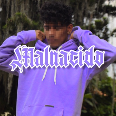 Malnacido (feat. Empower Music) - Single
