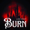 Burn - Single