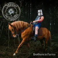 November Rain — Steve ‘n’ Seagulls