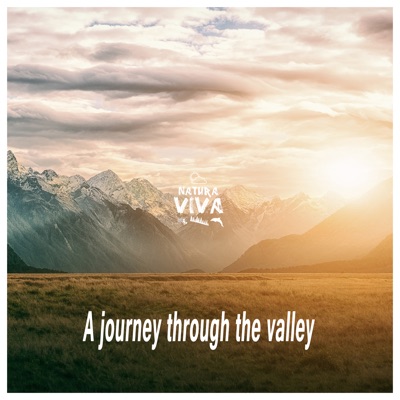 A Journey Through the Valley