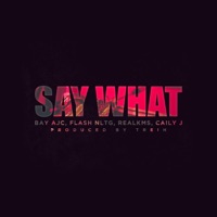 Say What (Clean Version) - Single - Flash NLTG, RealKMS, Bay AJC & CAILY J