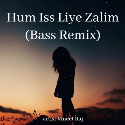 Vineet Raj - Hum Iss Liye Zalim (Bass Remix)