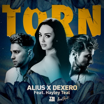 Torn (feat. Hayley Teal) - Single