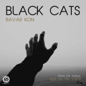 Bavar Kon artwork