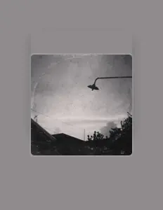 收听 Don Wilco、观看音乐视频、阅读小传、查看巡演日期等 ！