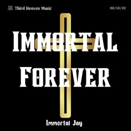 Ain't Perfect Immortal Jay