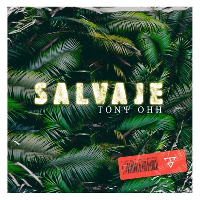 Salvaje - Single