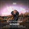 Wonder (Matthew Beren x Delighters Remix) artwork