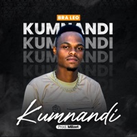 Kumnandi - Single - Bra Leo