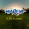 Sin Tu Amor
