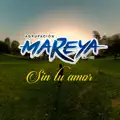 Sin Tu Amor