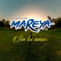 Sin tu amor
