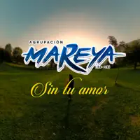 Sin Tu Amor — Agrupación Mareya