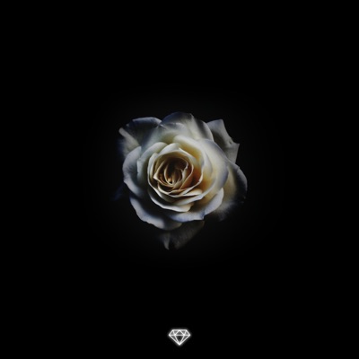 Prosper - Single