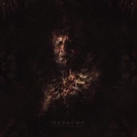 Mapacho - Single - Light Language