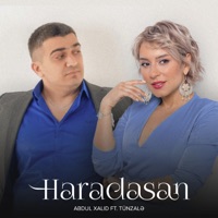 Hardasan (feat. Tünzalə) - Single - Abdul Xalid