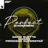 Perfect (Exceeder) [Extended Mix] cover art