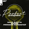 Perfect (Exceeder) - David Guetta, Mason & Princess Superstar
